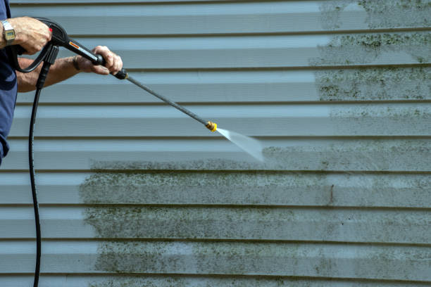 Best Pressure Washing Estimates  in Bliss Corner, MA